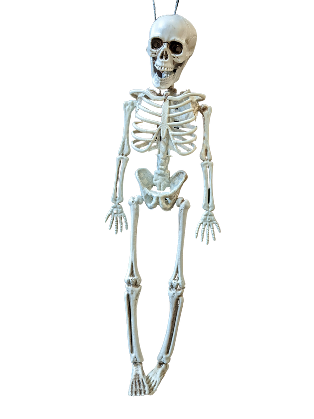 Halloween Full Body Skeleton Decoration Indoor, 16" Hanging Scary Props for Haunted House, Creepy Skeleton Stakes Décor
