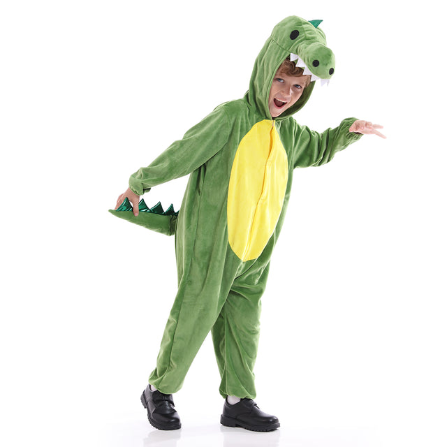 Unisex Dinosaur Costume Kids，Plush Hooded Dinosaur Pajamas Child，Halloween Carnival Dinosaur Kid Jumpsuit Boys & Girls